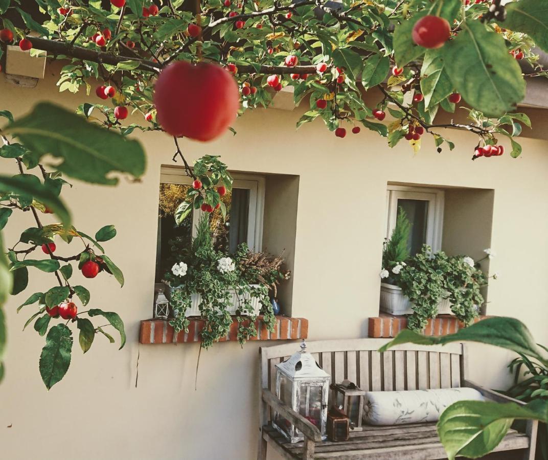 La Casa Del Giardiniere Villa Zero Branco Kültér fotó