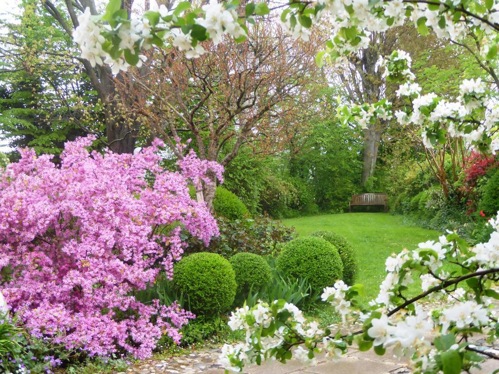 La Casa Del Giardiniere Villa Zero Branco Kültér fotó