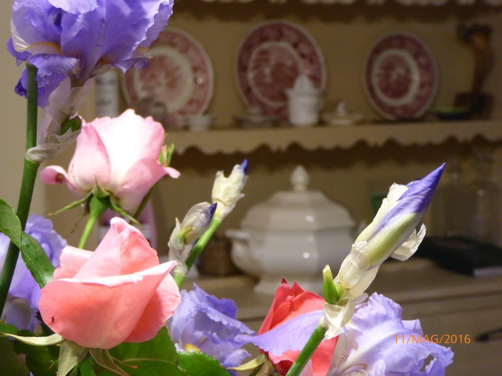 La Casa Del Giardiniere Villa Zero Branco Kültér fotó